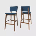 Set of 2 Fessenden Barstools - Christopher Knight Home